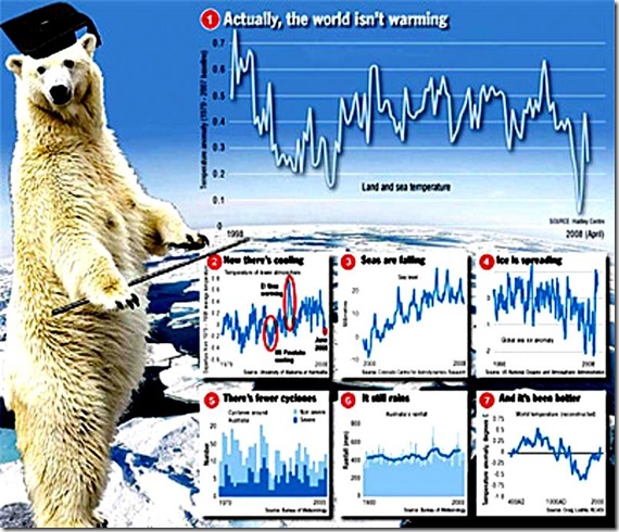 Polar Bear Prof - World Not Warming