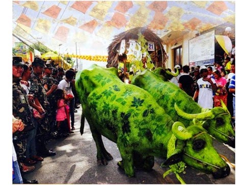 Carabao Festival Angono May 14