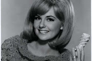 shelley fabres
