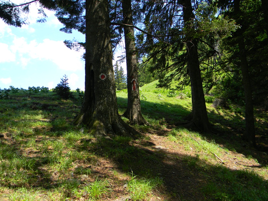 [DSCN14303.jpg]