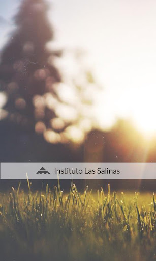 Instituto Las Salinas