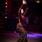 IMG_8618.JPG