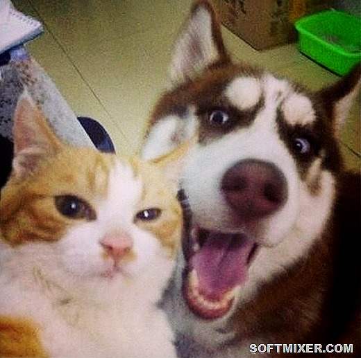 [a3b89a79_o%255B11%255D.jpg]