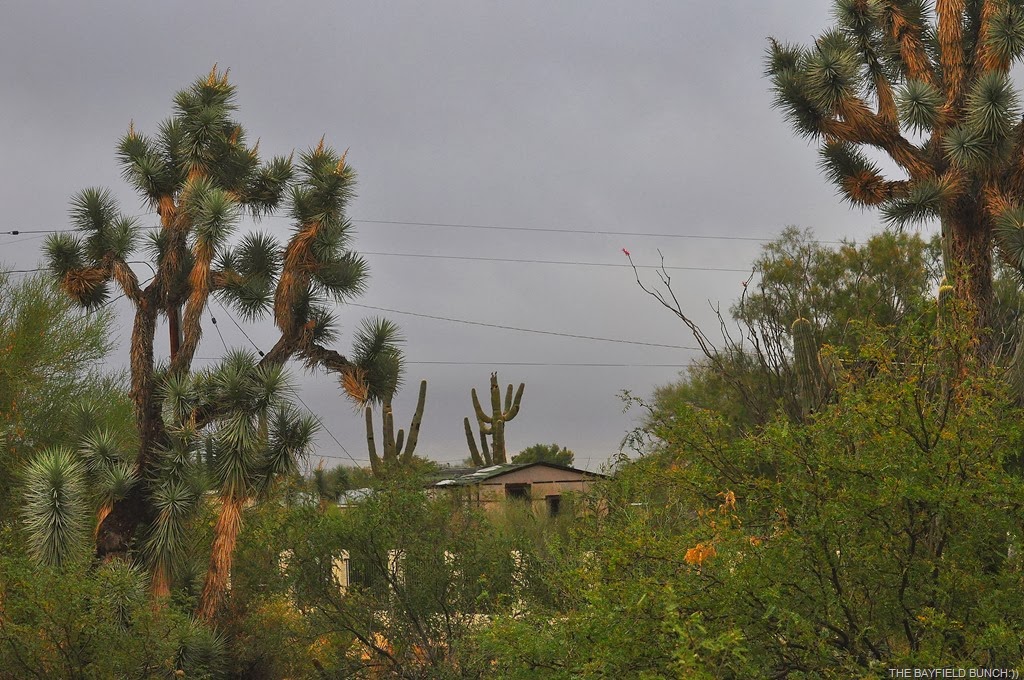 [DSC_0009%255B4%255D.jpg]