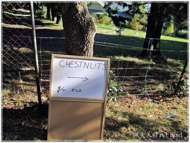 [chestnuts2%255B3%255D.jpg]