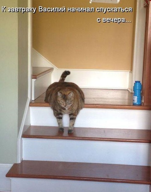 [3c30db150e340d3f2c84e287a20%255B3%255D.jpg]