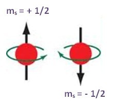 Número cuántico Spin Magnético (ms) - Quimica | Quimica Inorganica