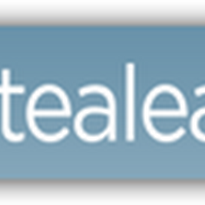 IBM Buys Tealeaf Technologies–Mining Software That Captures Users Activities When Visiting Websites