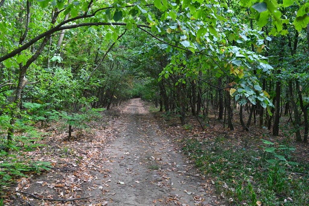 [DSC_72613.jpg]
