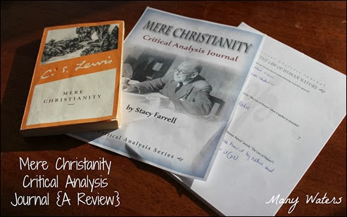 Many Waters Mere Christianity Critical Analysis Journal Review