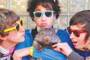 Wombats