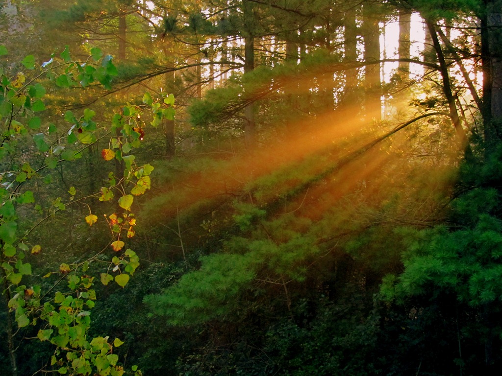 [IMG_0756%255B3%255D.jpg]