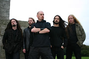 Primordial