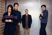 The Magnetic Fields