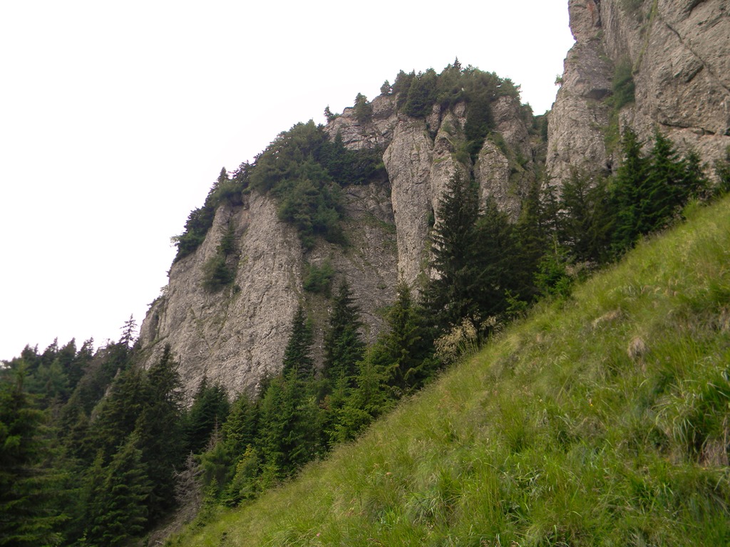 [DSCN37123.jpg]