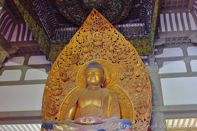 DSCF1255 DSCF1255
