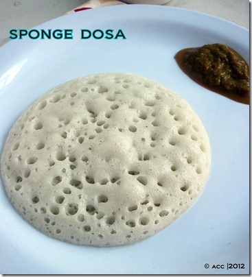 sponge dosa