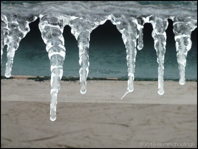ice cicles
