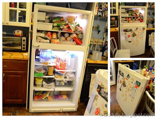 2012-06-16 fridge1
