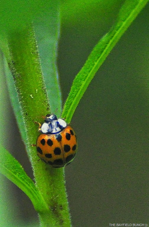 [DSC_0013-001%255B8%255D.jpg]