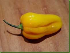 Pepper Yellow Habanero
