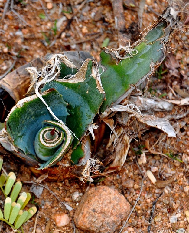 [DSC_0009%255B7%255D.jpg]