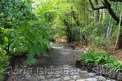 42 - Glória Ishizaka - Shirotori Garden
