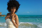 Andy Allo