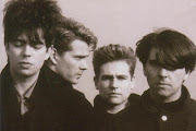 Echo & The Bunnymen