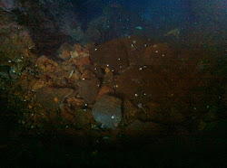 Lanzarote 2011 - - 008