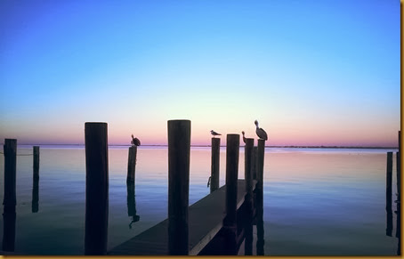 dry dock post blue and pink photo