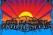Tribal Seeds