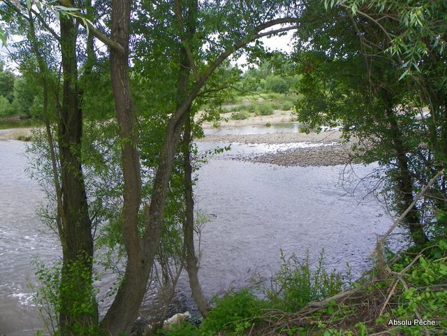 Loire au niveau d&#039;Épercieux-Saint-Paul, amont, rive droite photo #1018