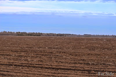 A plowed field