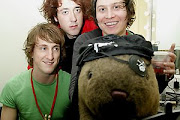 Wombats