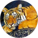 giulia dall'oglio profile picture