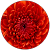 C K C K