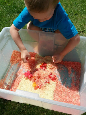 Checking out a Canada Day sensory bin from And Next Comes L