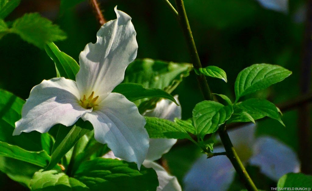 [DSC_0046%255B4%255D.jpg]