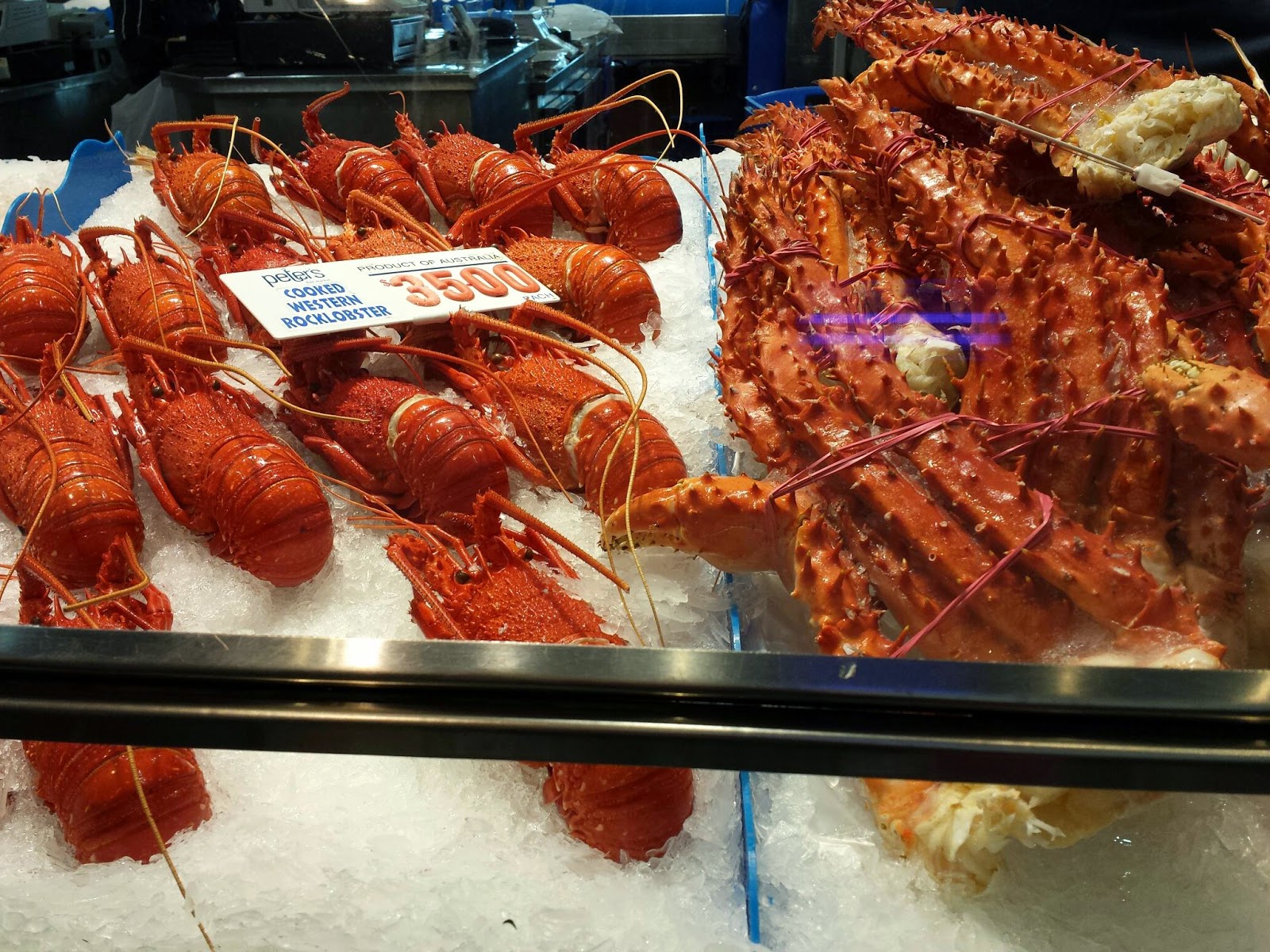 THEPINKPEPPERMINT Makan lobster di Sydney Fish Market