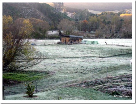 Frosty start to the day at Tapawera camp site.
