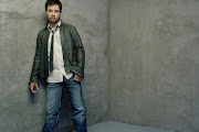 David Cook