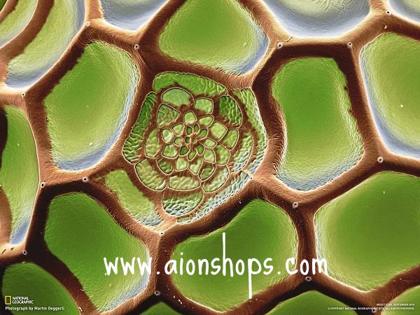 17157205233.jpg