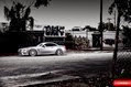 Vossen-13