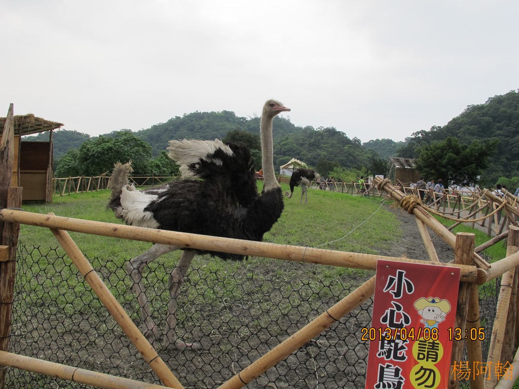 [2013----1224.jpg]
