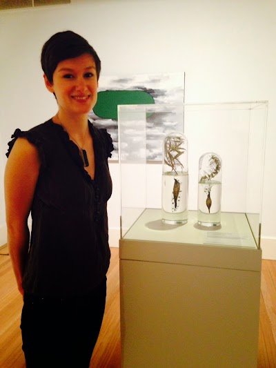Emilie Patteson's glasswork with wattles received a Highly Commended in the 2014 Waterhouse Natural Science Art Prize. Emilie Patteson.jpg