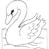 cygne17.jpg