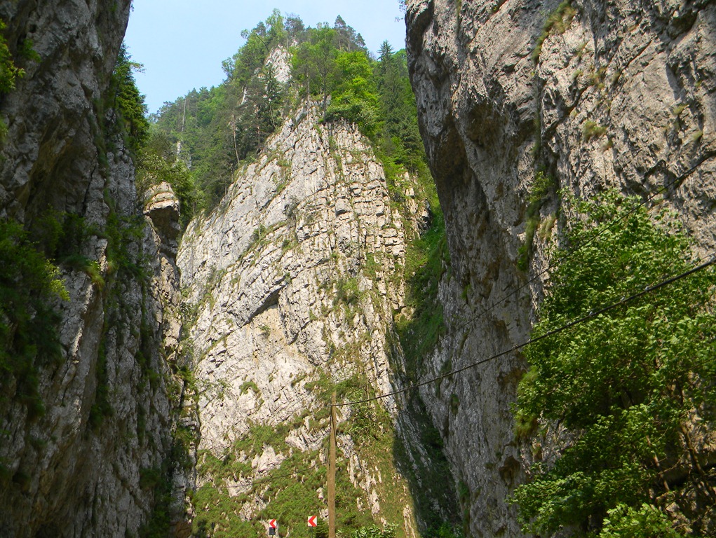 [DSCN65844.jpg]
