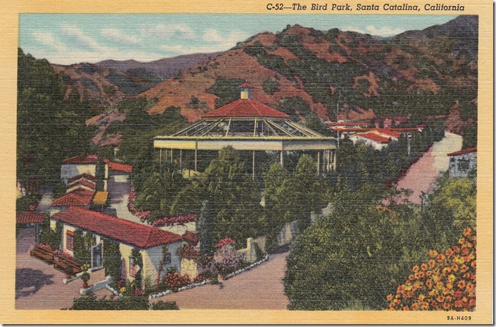 The Bird Park, Santa Catalina, California pg. 1