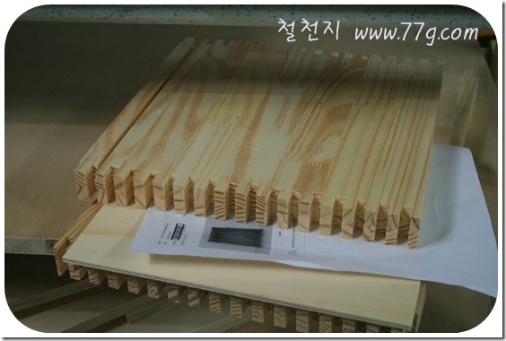 철천지IMG_0290-20110613-174320